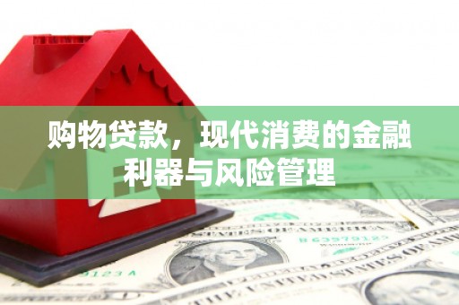 大宁购物贷款，现代消费的金融利器与风险管理