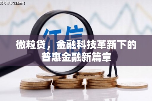大宁微粒贷，金融科技革新下的普惠金融新篇章