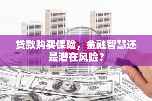 大宁贷款购买保险，金融智慧还是潜在风险？