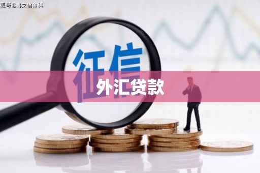 大宁外汇贷款