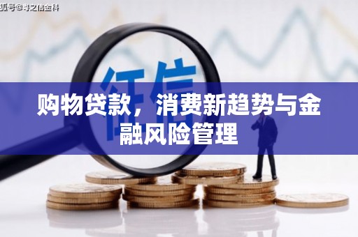 大宁购物贷款，消费新趋势与金融风险管理