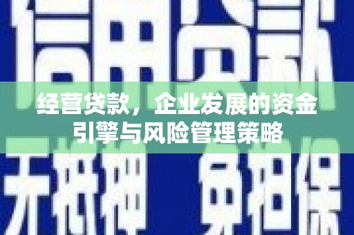 大宁经营贷款，企业发展的资金引擎与风险管理策略