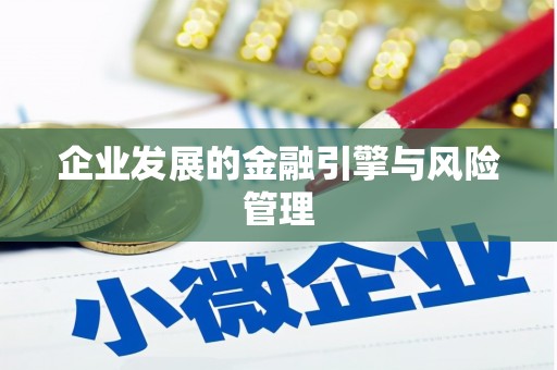 大宁企业发展的金融引擎与风险管理