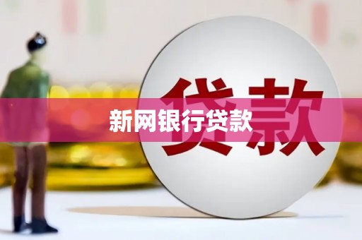 大宁新网银行贷款