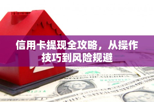 大宁信用卡提现全攻略，从操作技巧到风险规避