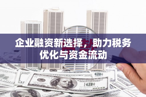 大宁企业融资新选择，助力税务优化与资金流动