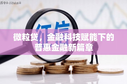 大宁微粒贷，金融科技赋能下的普惠金融新篇章