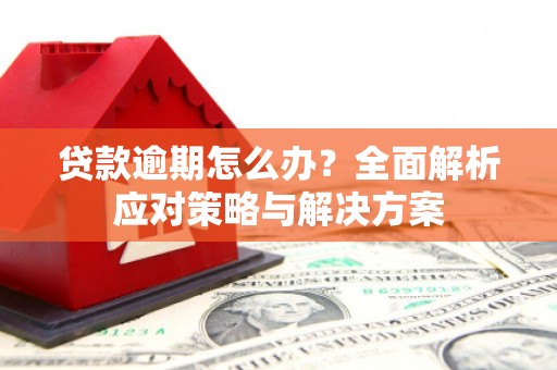 大宁贷款逾期怎么办？全面解析应对策略与解决方案