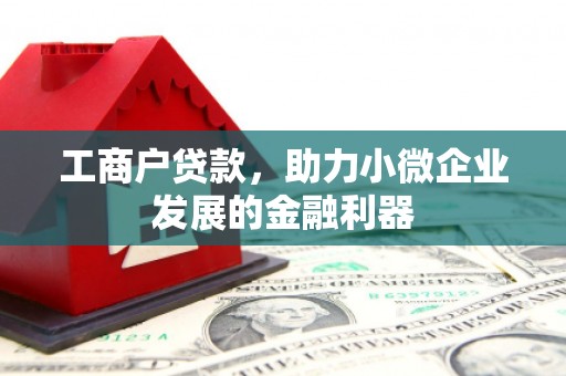 大宁工商户贷款，助力小微企业发展的金融利器