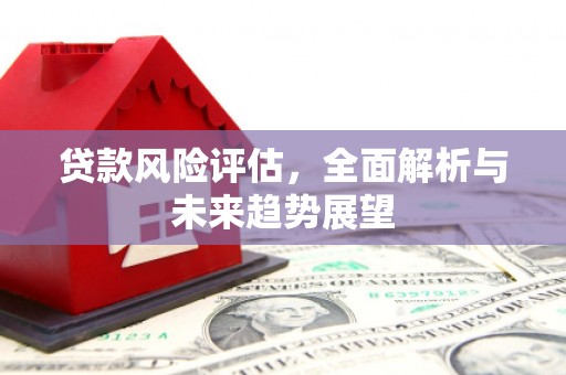 大宁贷款风险评估，全面解析与未来趋势展望