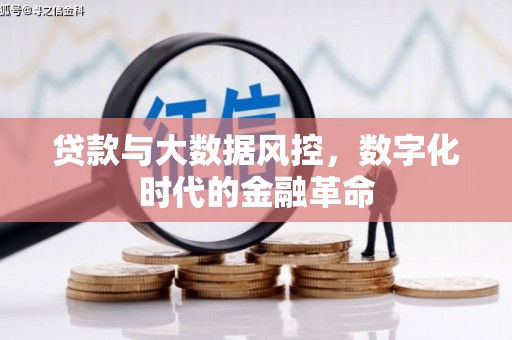 大宁贷款与大数据风控，数字化时代的金融革命