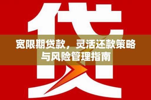 大宁宽限期贷款，灵活还款策略与风险管理指南