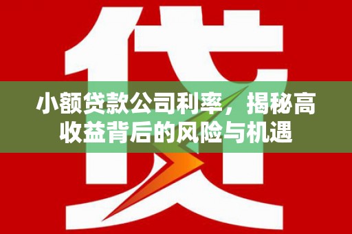 大宁小额贷款公司利率，揭秘高收益背后的风险与机遇