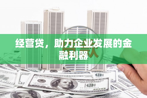 大宁经营贷，助力企业发展的金融利器