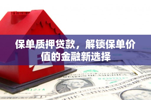 大宁保单质押贷款，解锁保单价值的金融新选择