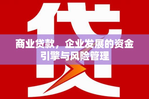 大宁商业贷款，企业发展的资金引擎与风险管理
