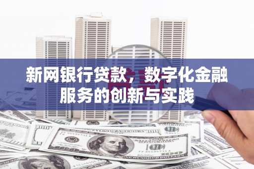 大宁新网银行贷款，数字化金融服务的创新与实践