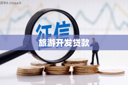 大宁旅游开发贷款