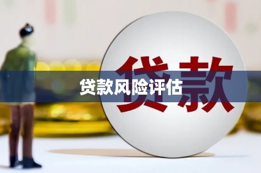 大宁贷款风险评估