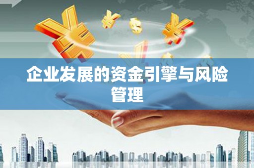 大宁企业发展的资金引擎与风险管理