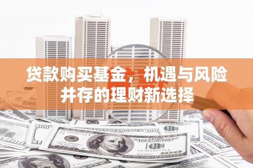大宁贷款购买基金，机遇与风险并存的理财新选择