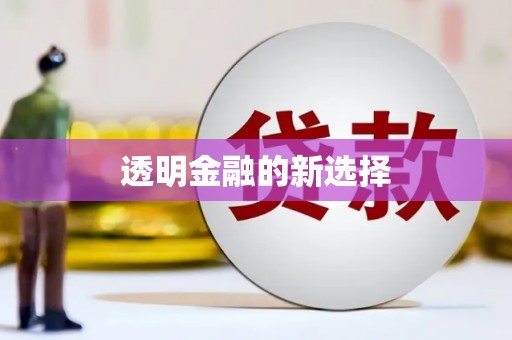 大宁透明金融的新选择