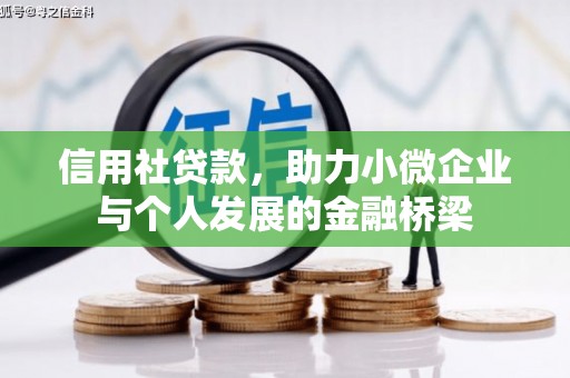 大宁信用社贷款，助力小微企业与个人发展的金融桥梁