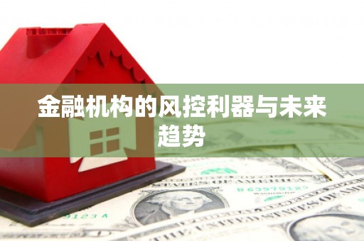 大宁金融机构的风控利器与未来趋势