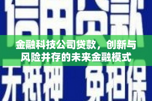 大宁金融科技公司贷款，创新与风险并存的未来金融模式