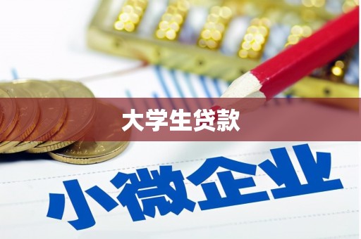 大宁大学生贷款