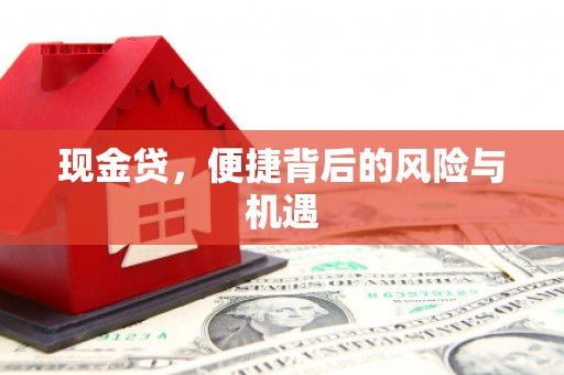 大宁现金贷，便捷背后的风险与机遇