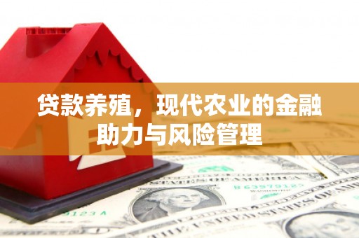 大宁贷款养殖，现代农业的金融助力与风险管理