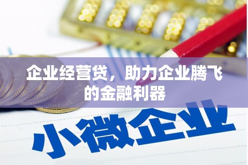 大宁企业经营贷，助力企业腾飞的金融利器