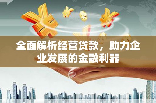 大宁全面解析经营贷款，助力企业发展的金融利器