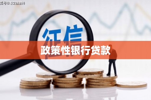 大宁政策性银行贷款