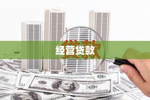 大宁经营贷款