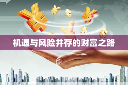 大宁机遇与风险并存的财富之路