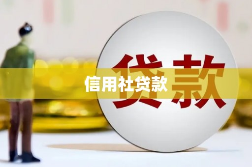 大宁信用社贷款