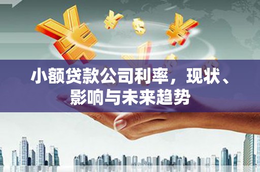 大宁小额贷款公司利率，现状、影响与未来趋势