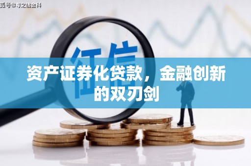 大宁资产证券化贷款，金融创新的双刃剑