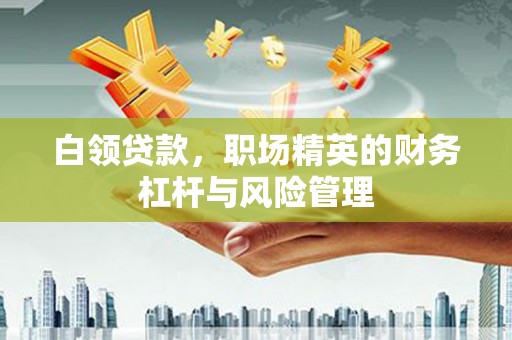 大宁白领贷款，职场精英的财务杠杆与风险管理