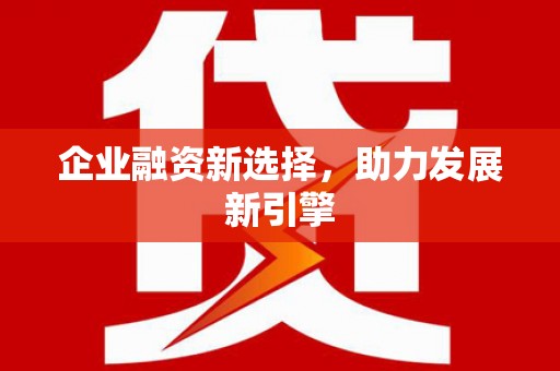 大宁企业融资新选择，助力发展新引擎