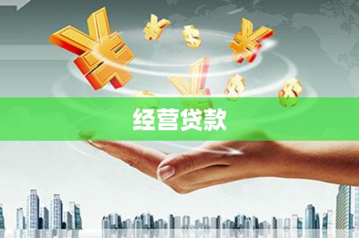 大宁经营贷款