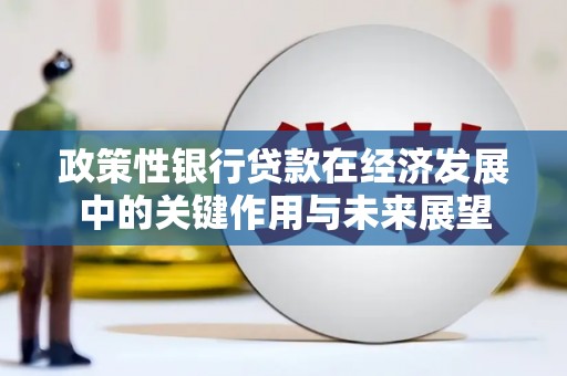 大宁政策性银行贷款在经济发展中的关键作用与未来展望