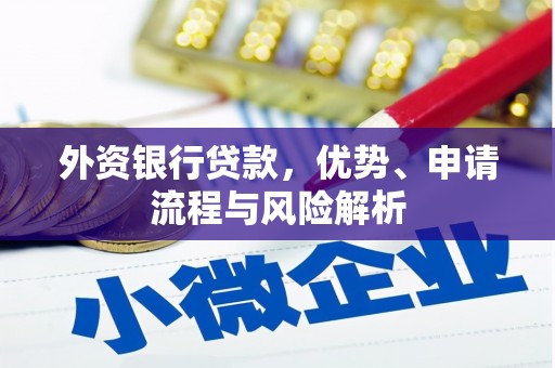 大宁外资银行贷款，优势、申请流程与风险解析