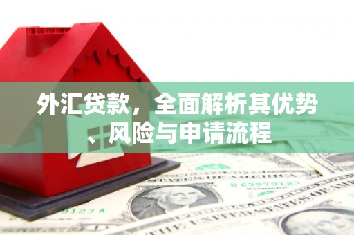 大宁外汇贷款，全面解析其优势、风险与申请流程