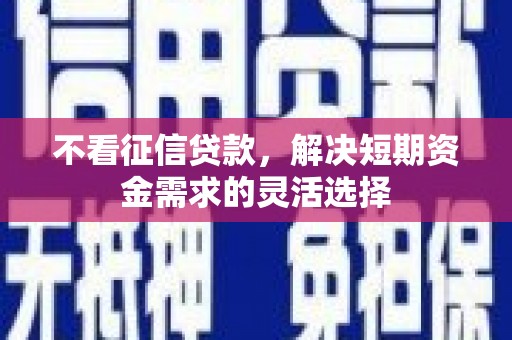 大宁不看征信贷款，解决短期资金需求的灵活选择
