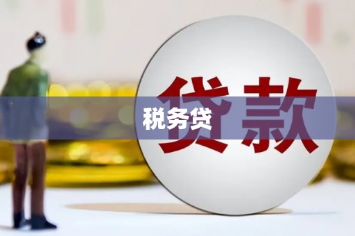 大宁税务贷