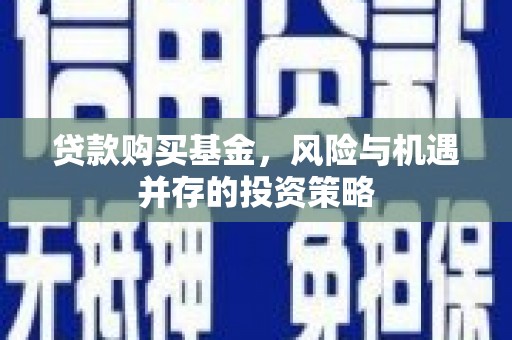 大宁贷款购买基金，风险与机遇并存的投资策略
