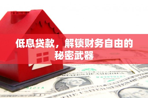 大宁低息贷款，解锁财务自由的秘密武器
